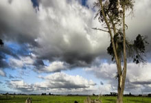 陶金谈申花队多线作战：硬着头皮上，相信我们球队的韧劲，申花淘金