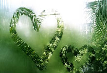 陶金谈申花队多线作战：硬着头皮上，相信我们球队的韧劲，申花淘金