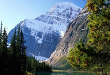 陶金谈申花队多线作战：硬着头皮上，相信我们球队的韧劲，申花淘金