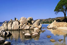 陶金谈申花队多线作战：硬着头皮上，相信我们球队的韧劲，申花淘金