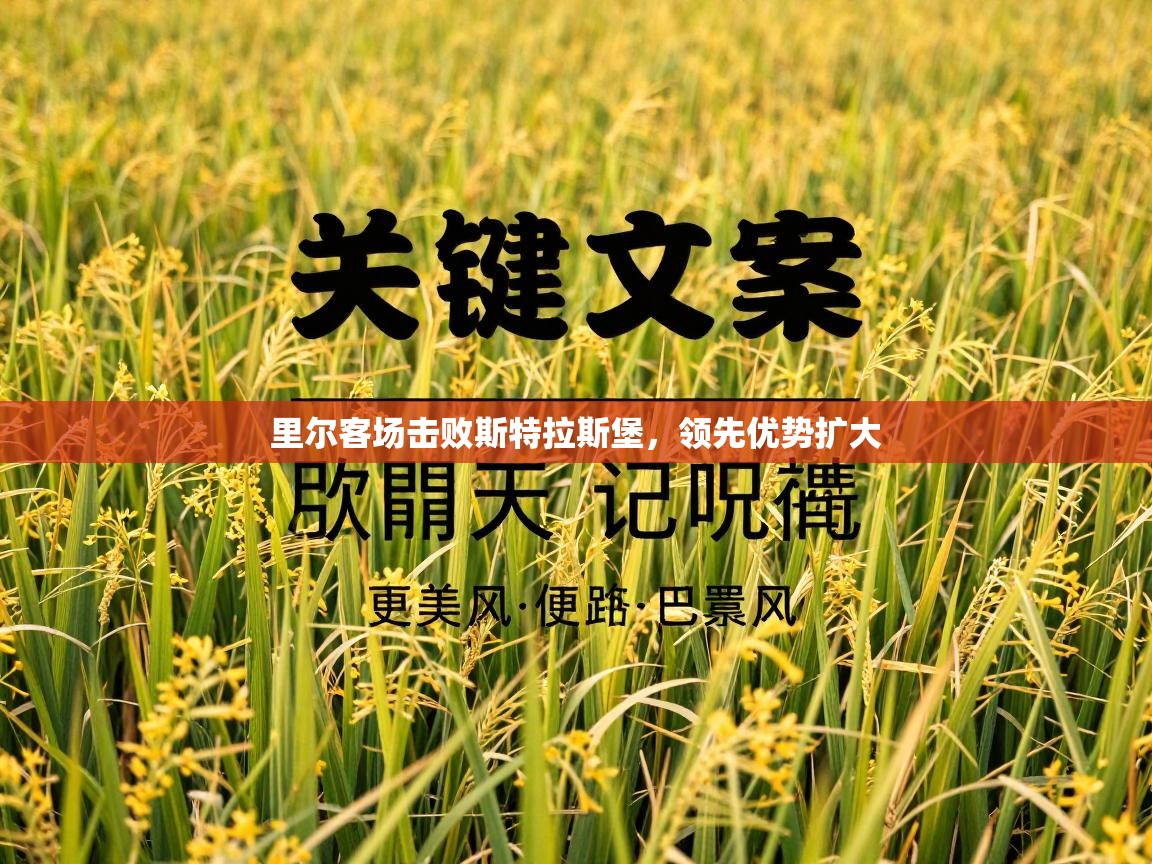 里尔客场击败斯特拉斯堡,领先优势扩大 第2张